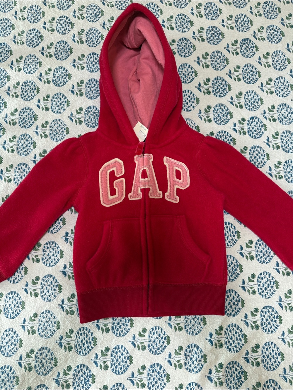 GAP Kids Red Zip-Up Hoodie with Pink Lining